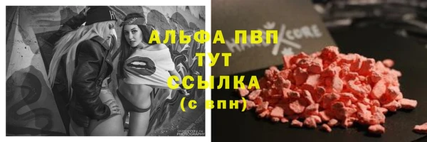 Альфа ПВП Бородино