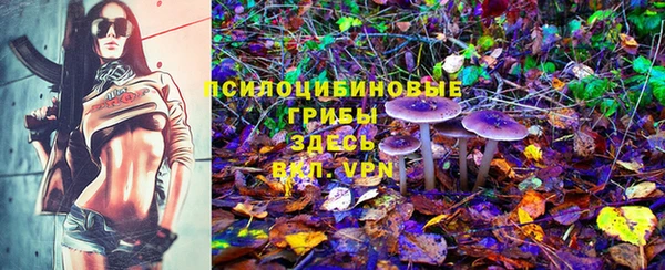 прущая мука Белокуриха