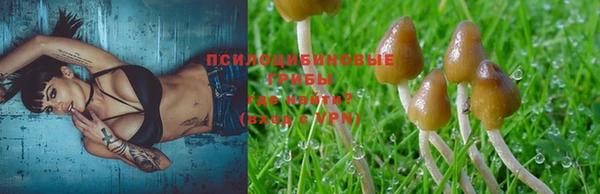 прущая мука Белокуриха