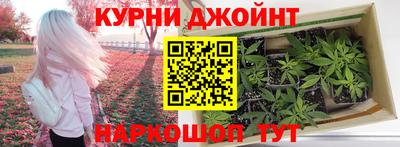 спиды Гагарин