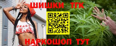 сатива Аргун