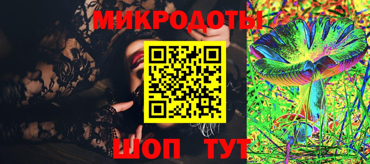 Галлюциногенные грибы Psilocybine cubensis  Вход с VPN  Гай 