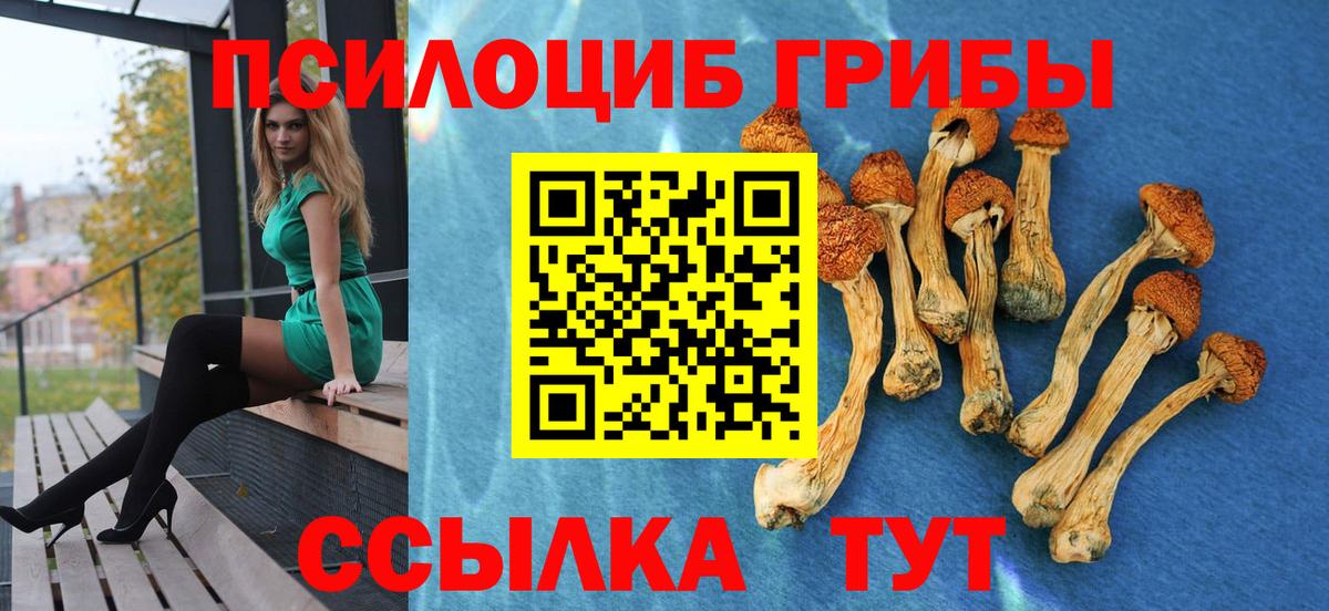 Галлюциногенные грибы Psilocybine cubensis Гай