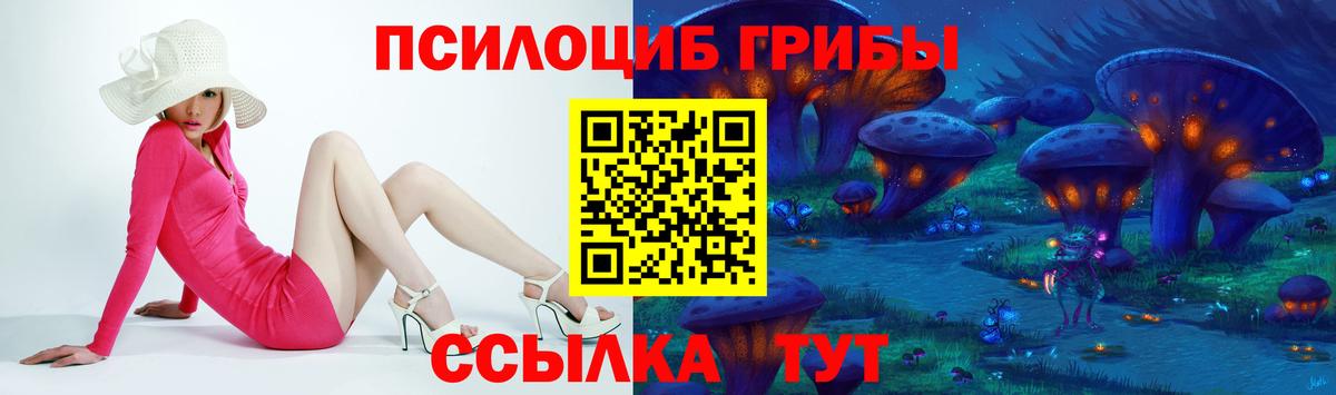 Галлюциногенные грибы прущие грибы Гай