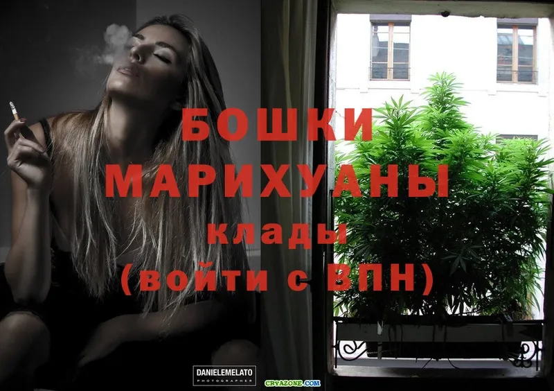 Каннабис White Widow  как найти   Гай 