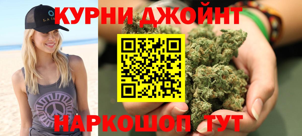 МАРИХУАНА SATIVA & INDICA Гай